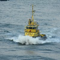 Harbour and Salvage Tugs